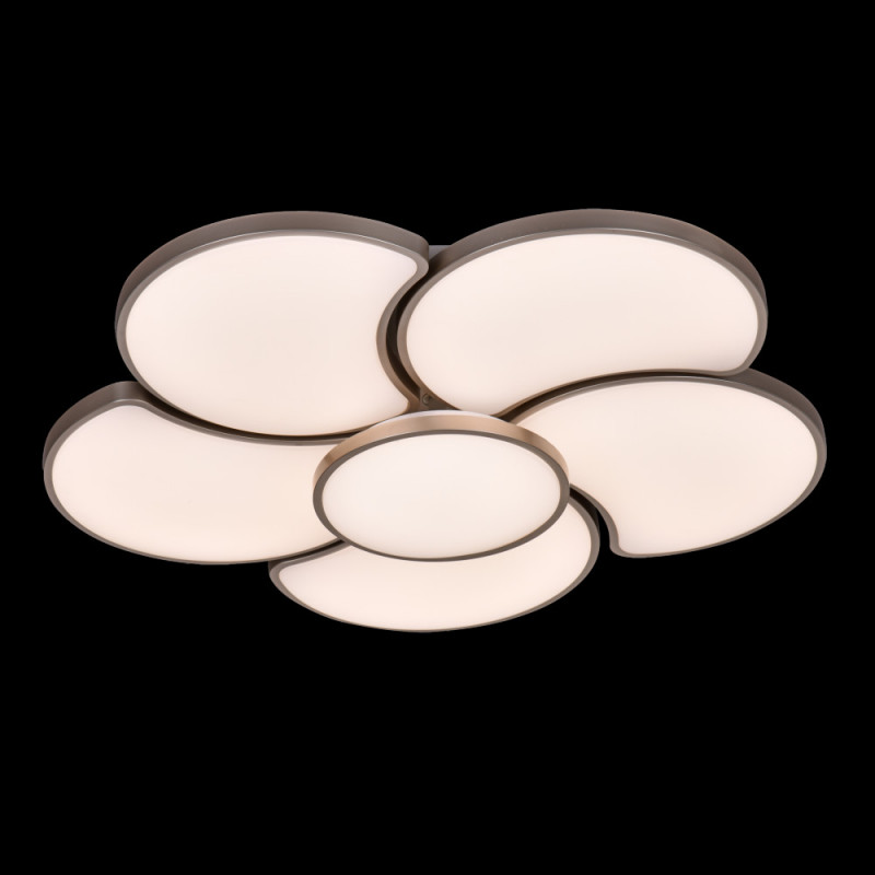 Потолочный светильник Adilux 961