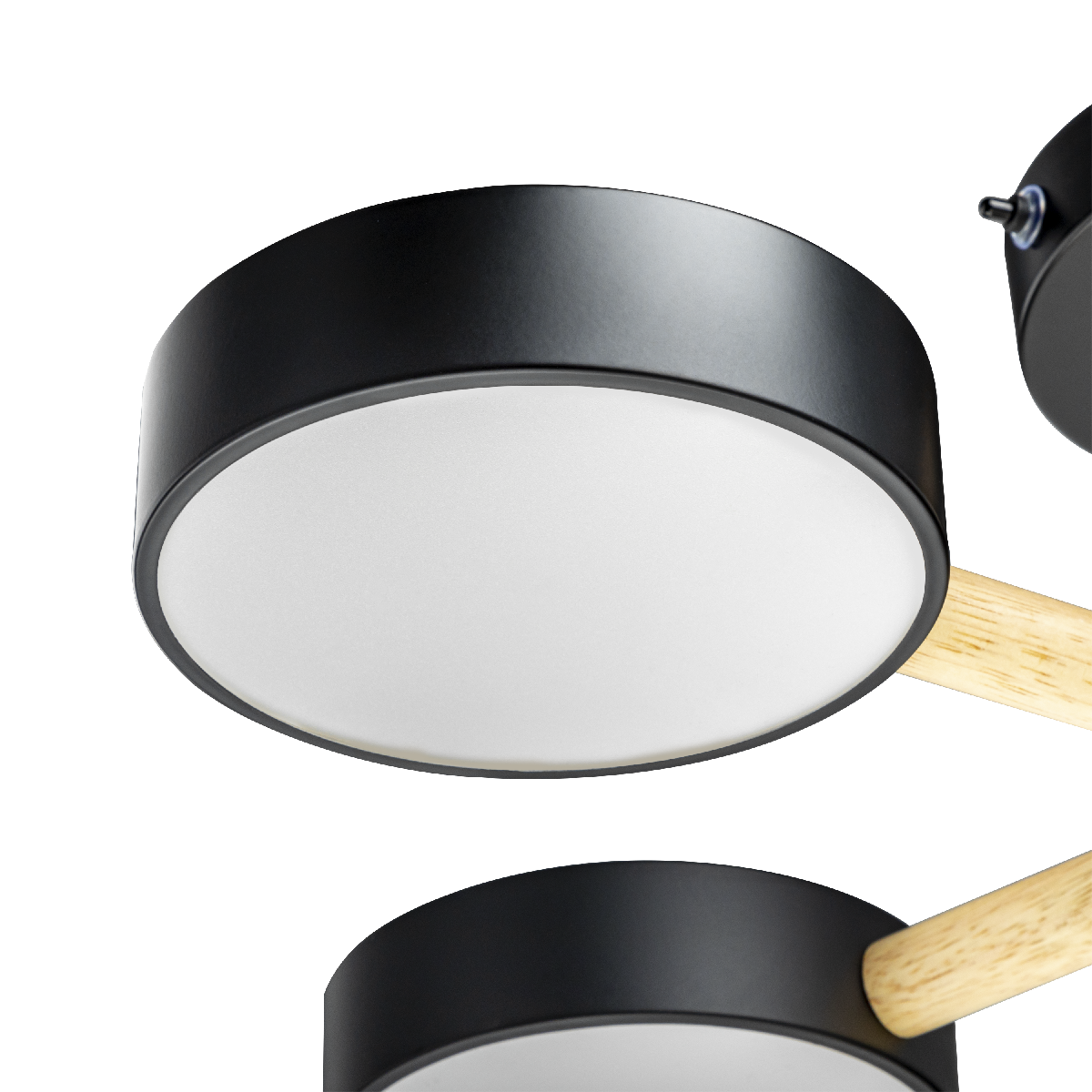 Люстра на штанге Ritter Scandia 51592 4