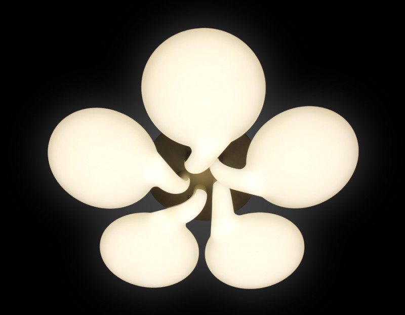 Накладная люстра Ambrella Light FC24/5WH 180W D760