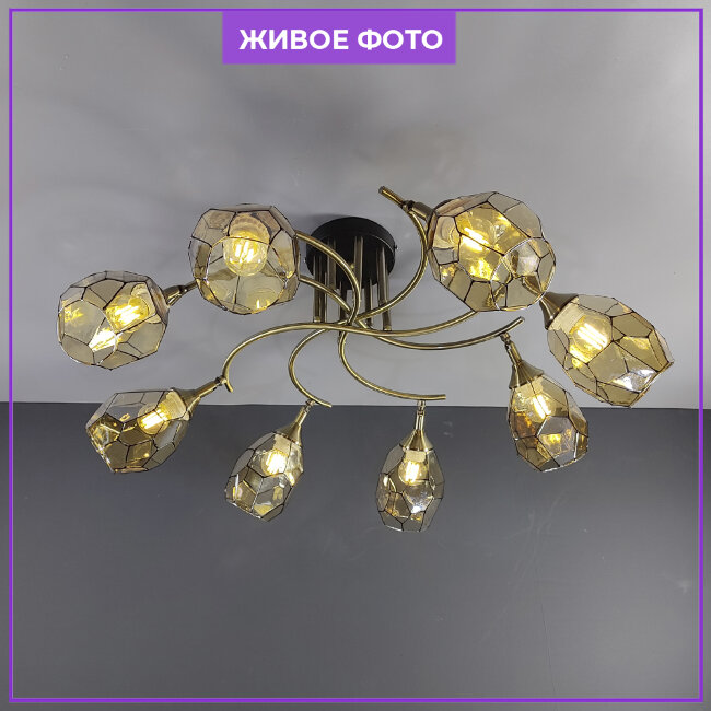 Потолочная люстра Wedo Light Elivera 66740.01.37.08