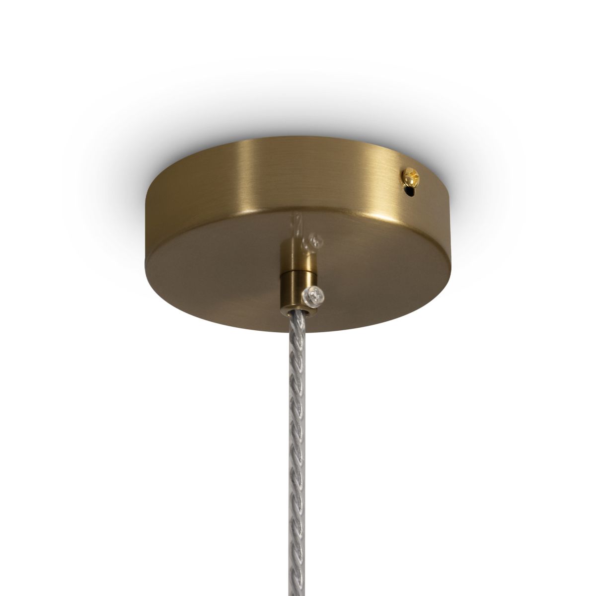 Подвесной светильник Freya Sylvia FR2056PL-01W