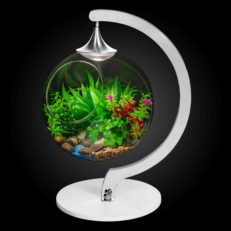 Настольная лампа Apeyron FT-28