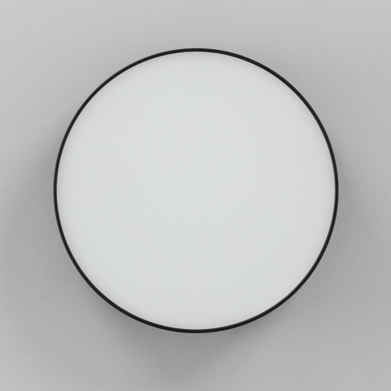 Накладной светодиодный светильник Citilux Тао CL712122N в Москве