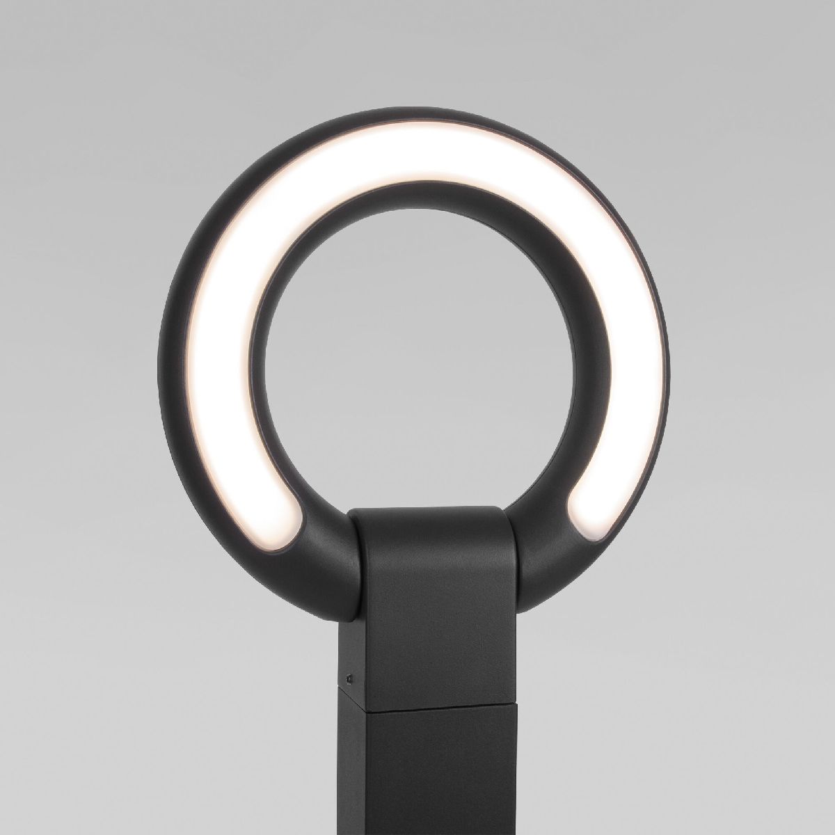 Ландшафтный светильник Elektrostandard Navi 35164/F черный 4690389194177 a062880