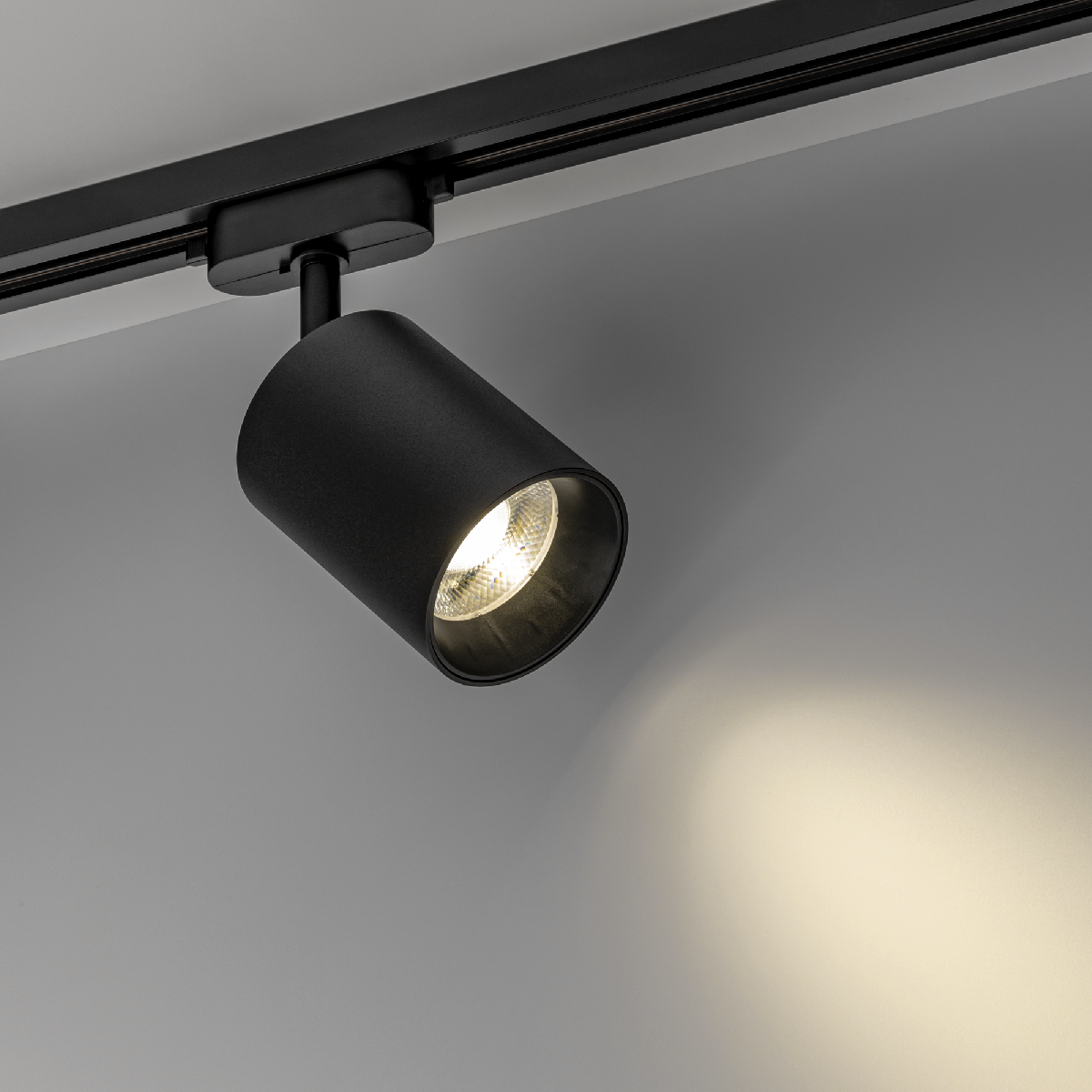 Трековый однофазный светильник Ritter Artline 59722 7