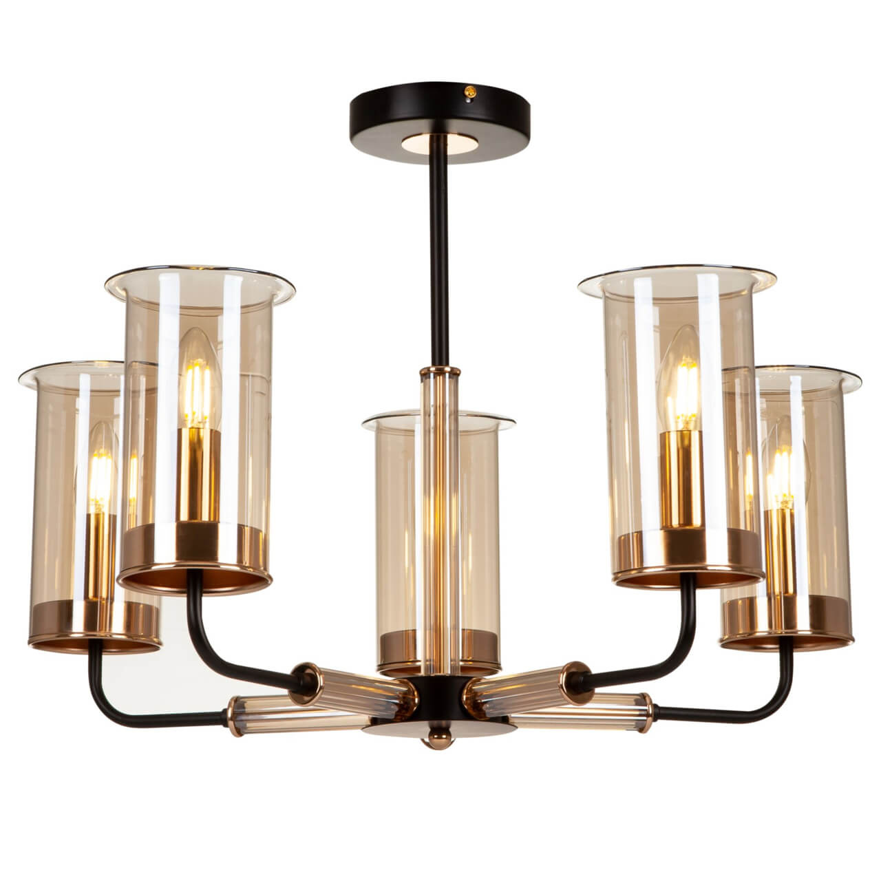 Потолочная люстра Freya Tera FR5029PL-05B