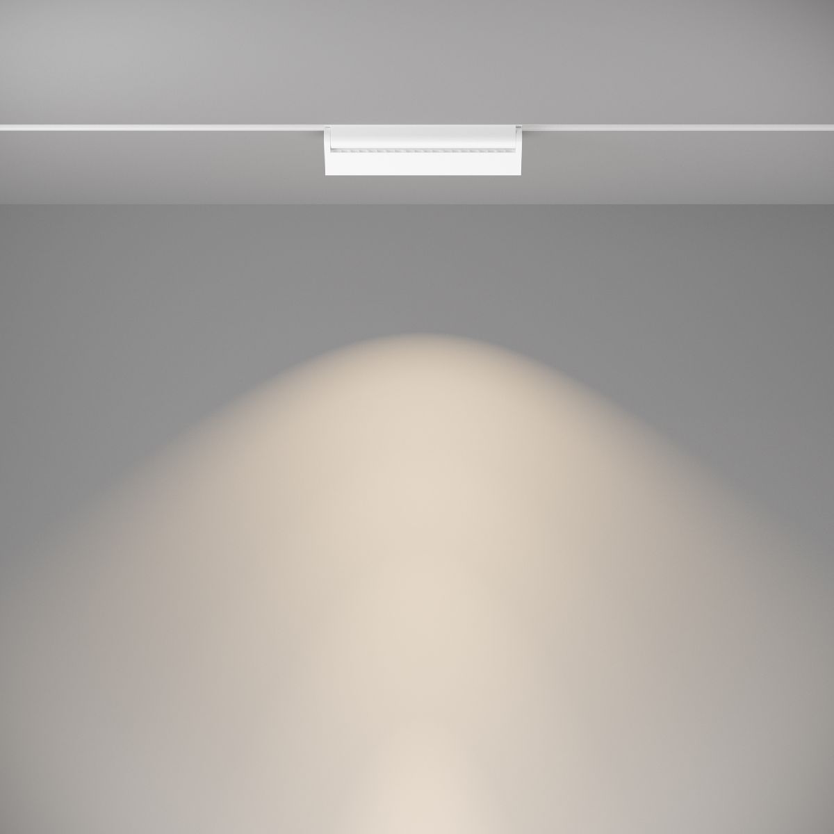 Трековый светильник Maytoni Technical Magnetic track TR013-2-20W4K-W