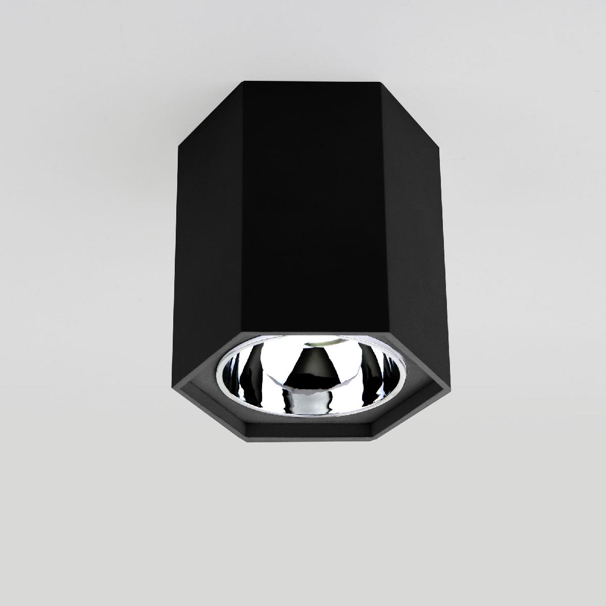 Накладной светильник Elektrostandard 4690389176517