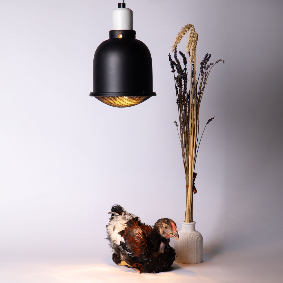 Светильник для террариумов и брудеров Эра FITO-E27-SHADE Б0053286