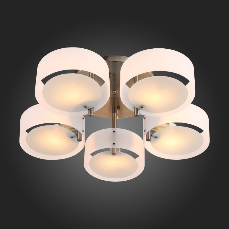 Накладная люстра ST-Luce SL483.352.05