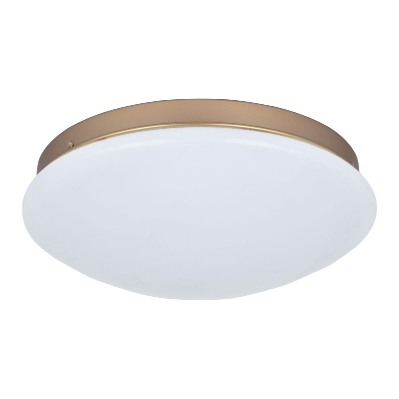 Потолочный светодиодный светильник F-Promo Ledante 2466-2C