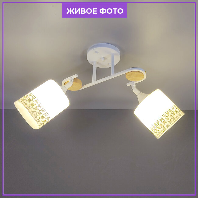 Потолочная люстра Wedo Light Smila WD3324/2C-WT