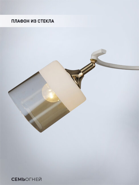 Потолочная люстра Wedo Light Chirsty WD3526/3C-FGD-WT-AM