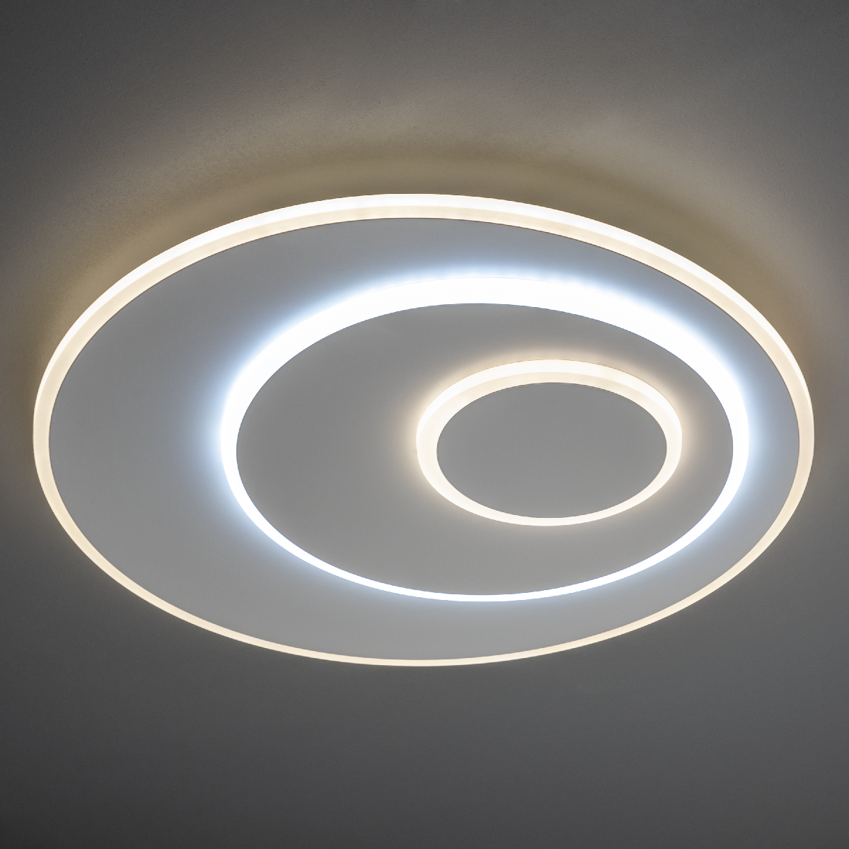 Потолочная люстра Ritter Galassia 51581 8