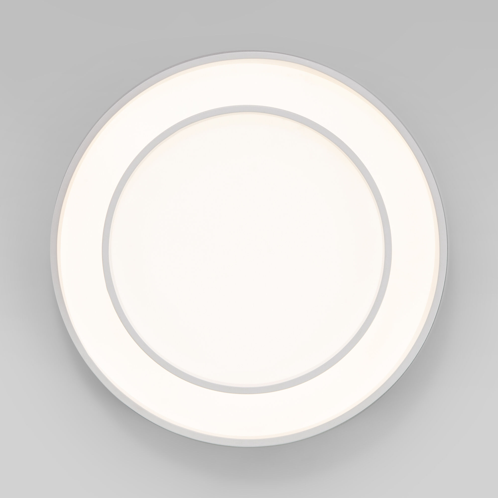 Потолочный светильник Eurosvet Force 90274/2 белый Smart a061413