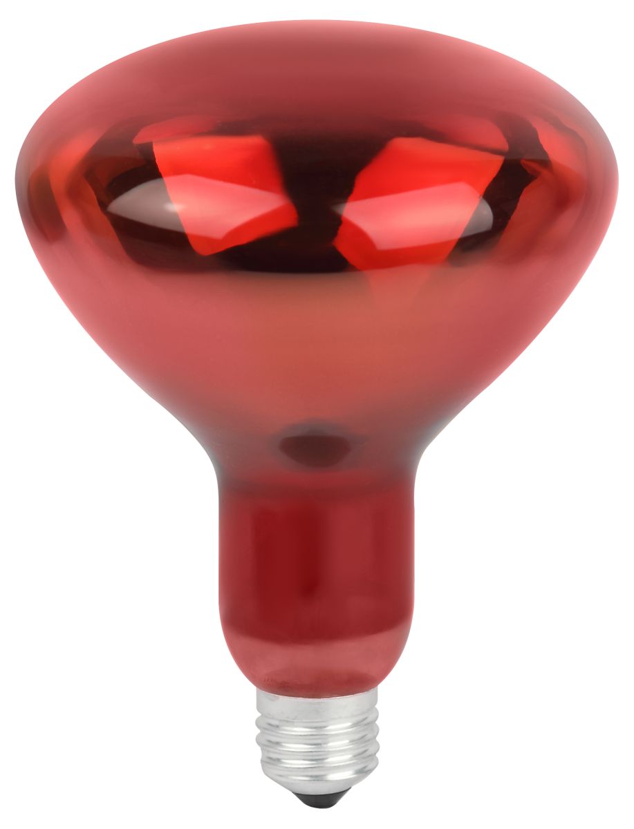 Инфракрасная лампа для обогрева животных Эра ИКЗК 220-250 R127 Б0042980