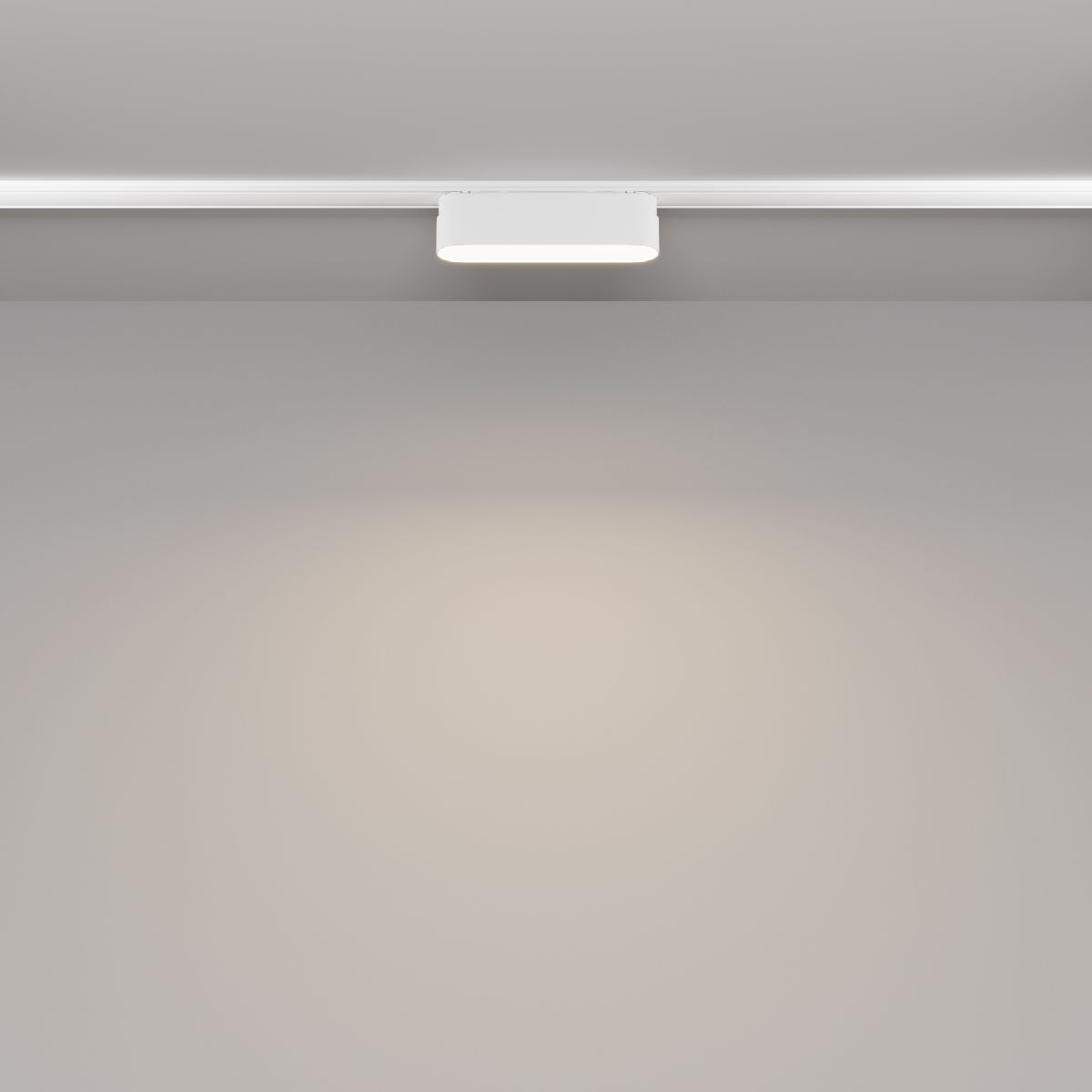 Трековый магнитный светильник Maytoni Basis TR080-1-6W4K-W