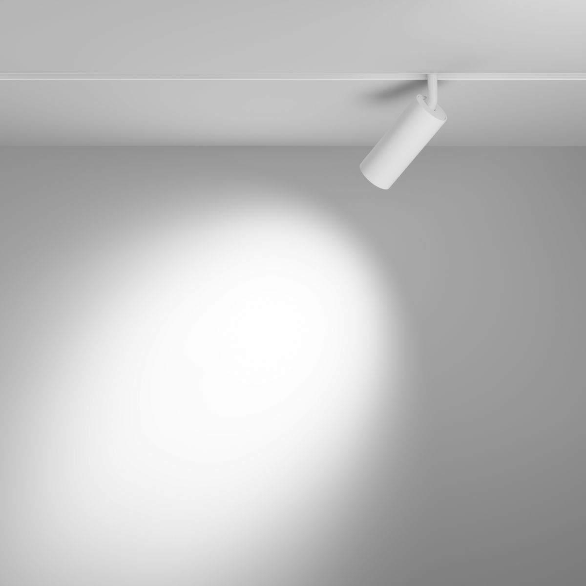 Трековый магнитный светильник Maytoni Focus LED TR032-4-12WTW-M-DSZ-W