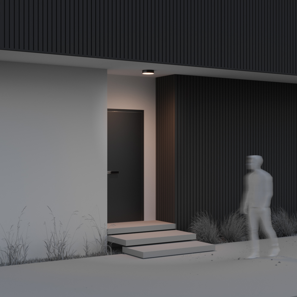 Уличный потолочный светильник Maytoni Zon IP O431CL-L30B3K