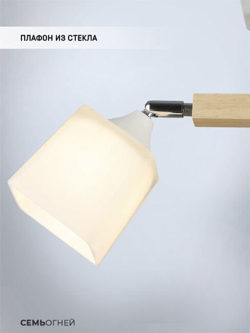 Потолочная люстра Wedo Light Lion WD3508/2C-WT