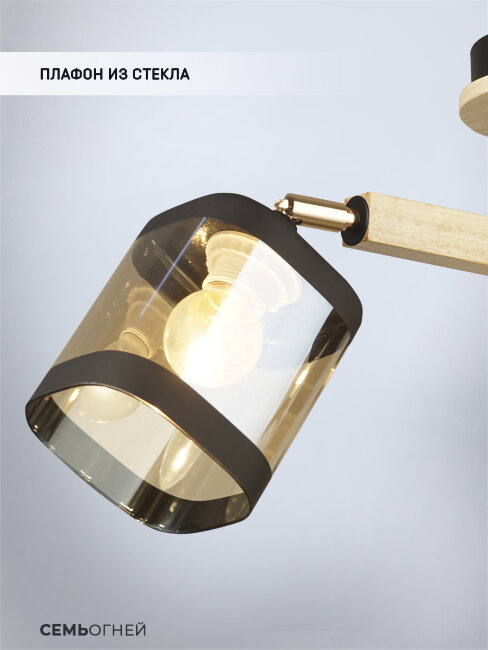 Потолочная люстра Wedo Light Kaleri WD3506/3C-BK-AM