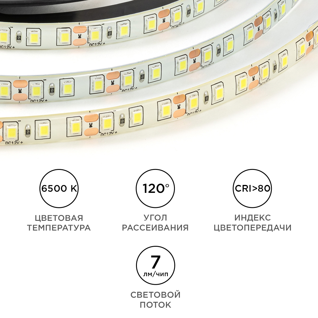 Светодиодная влагозащищенная лента OGM 12В 2835 9,6Вт/м 6500К 7Лм/чип 5м IP65 LSE-261