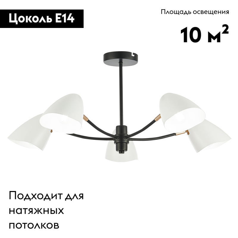 Потолочная люстра EVOLUCE SATTA SLE103602-05