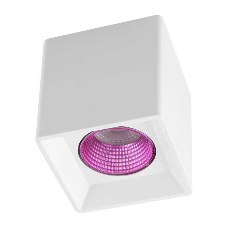 Накладной светильник Denkirs DK3080-WH+PI