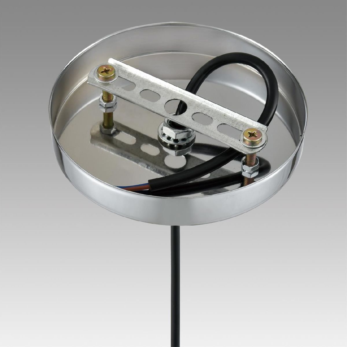 Подвесной светильник Lumion Suspentioni Manola 8047/1A