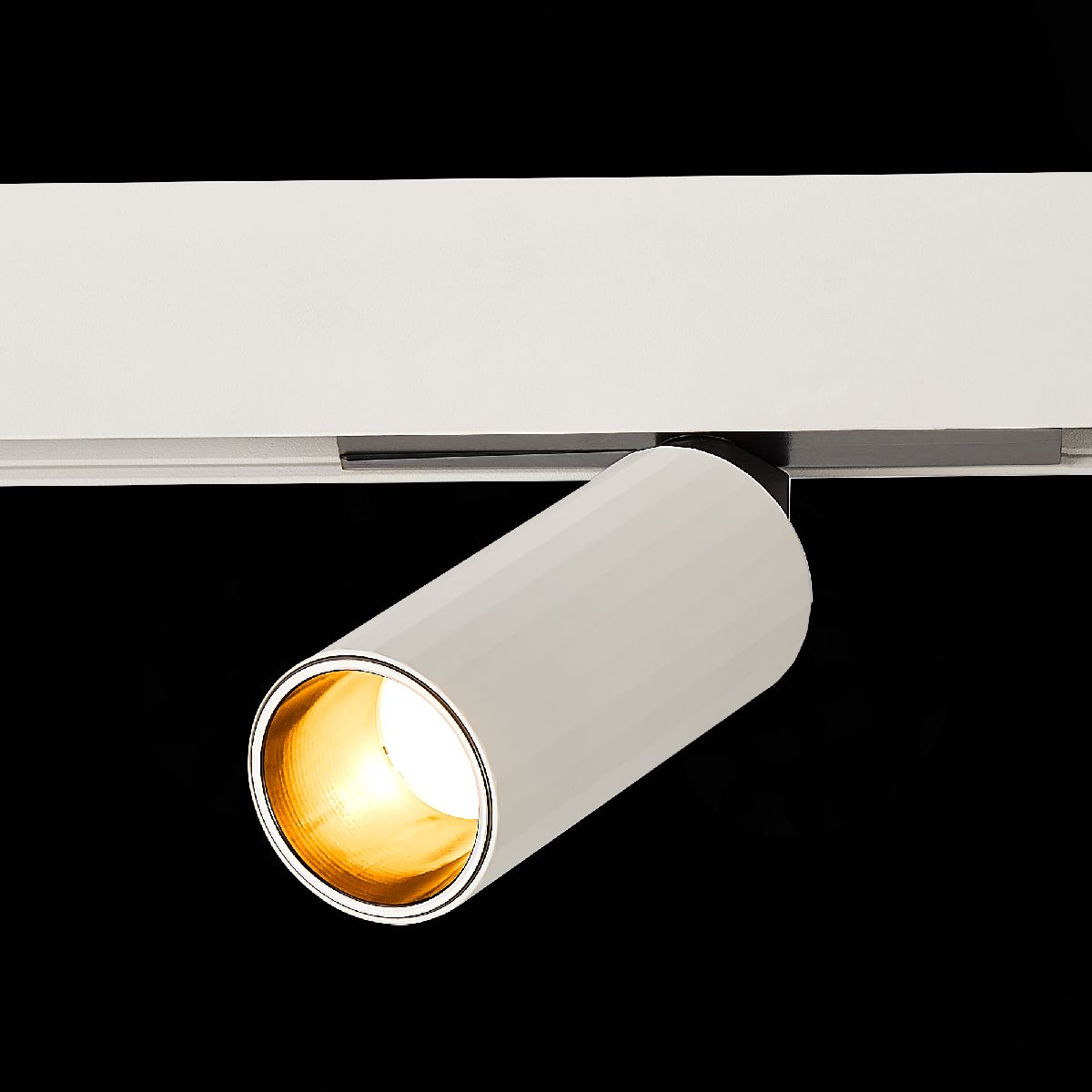 Трековый магнитный светильник ST Luce Skyline 48 ST807.546.12