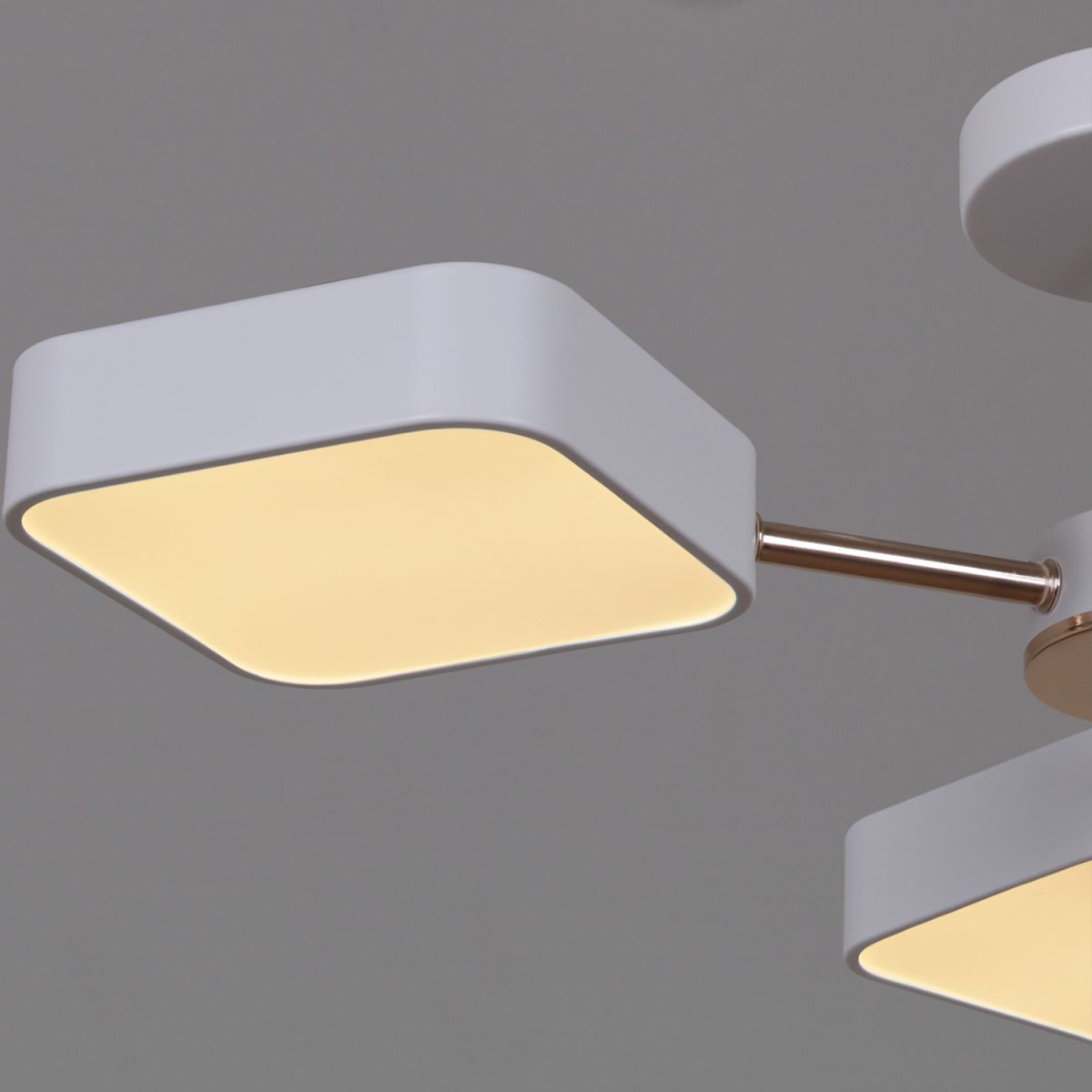 Люстра на штанге Reluce 03360-0.3-05 WH+FGD