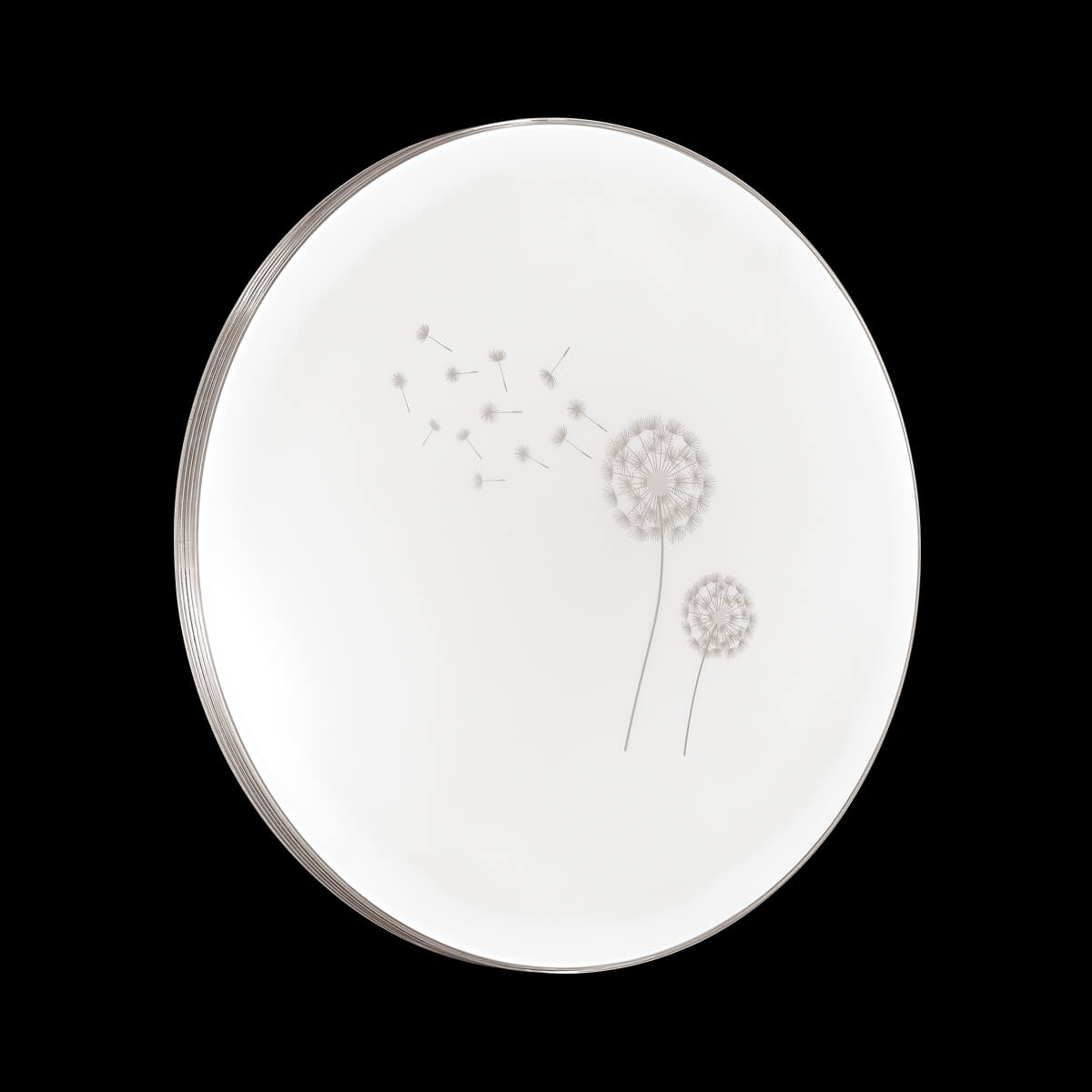 Настенно-потолочный светильник Sonex Airita 3005/EL