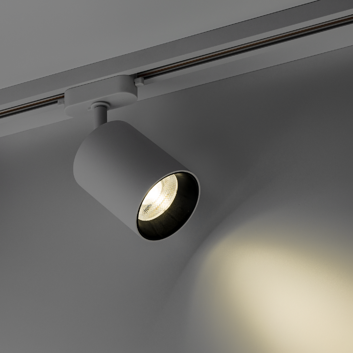 Трековый однофазный светильник Ritter Artline 59721 0