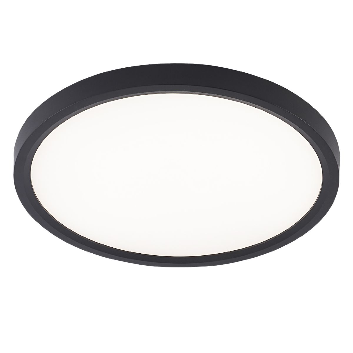 Потолочный светильник Natali Kovaltseva Plain LED LAMPS 81114/2C