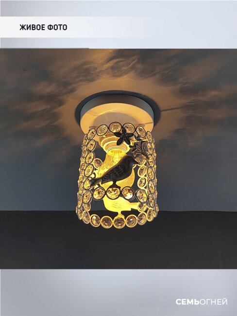 Потолочный светильник Wedo Light Denes WD3568/1C-WG-CL