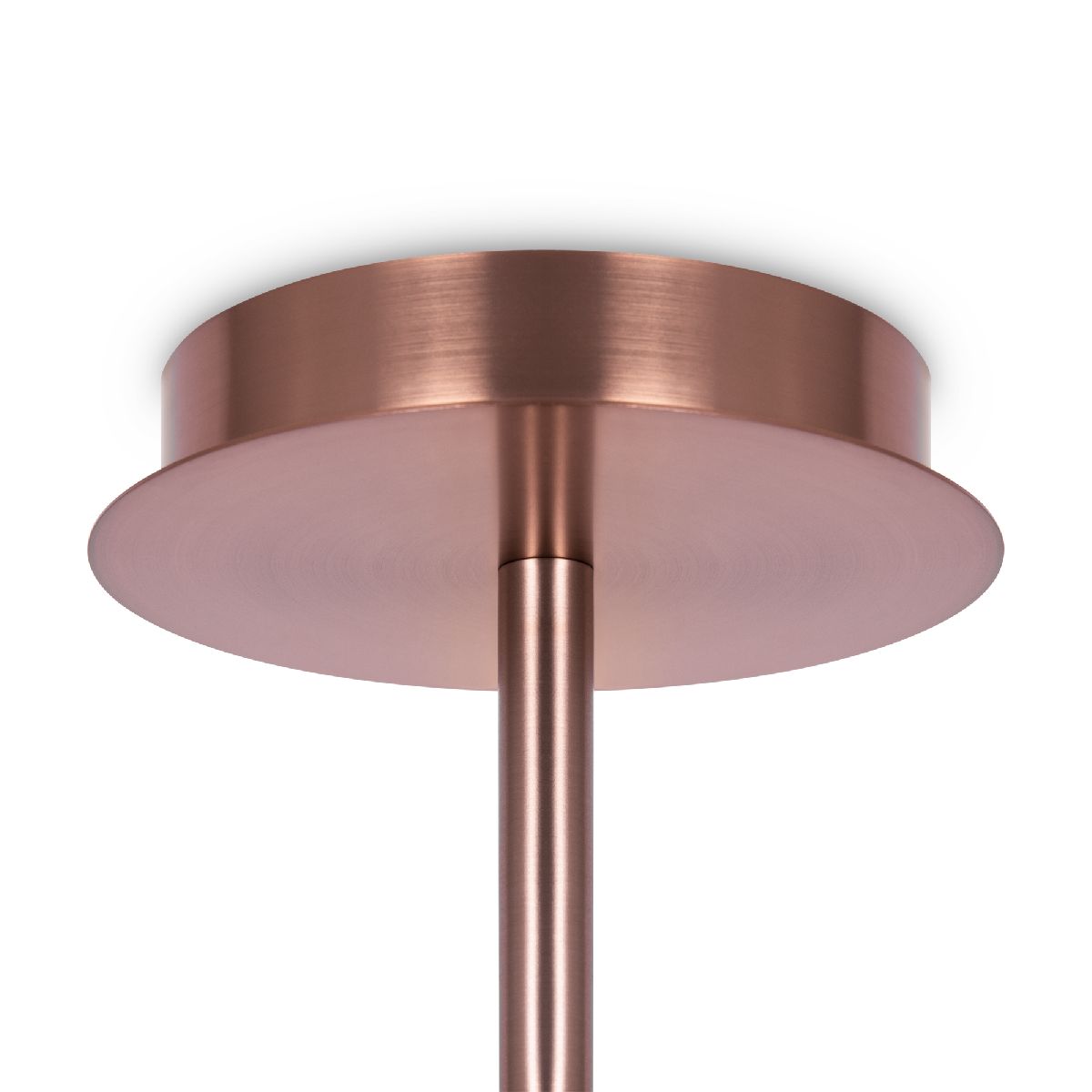 Люстра на штанге Maytoni Erich MOD221PL-10G