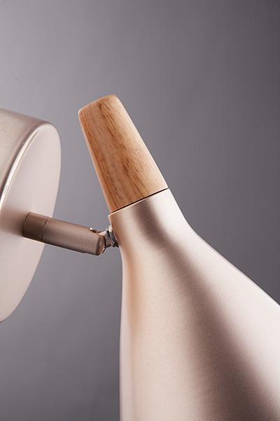 Спот Eurosvet Amadeo 70050/1 перламутровое золото