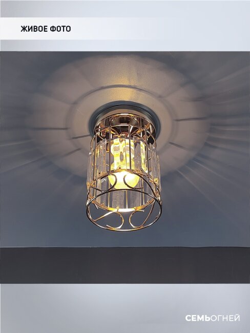 Потолочный светильник Wedo Light Beteni WD3567/1C-FGD-CL