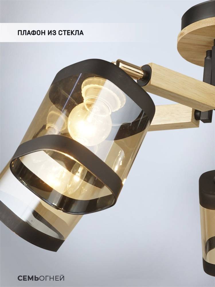 Потолочная люстра Seven Fires Kaleri WD3506/5C-BK-AM