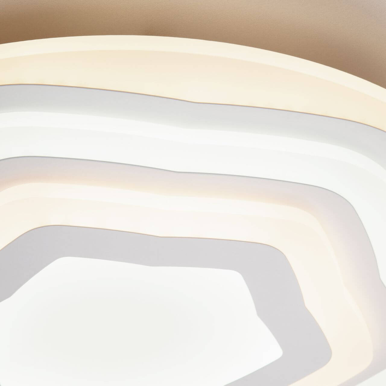 Потолочный светодиодный светильник Eurosvet Siluet 90117/1