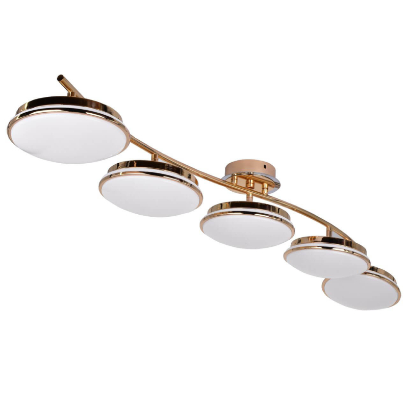 Потолочная светодиодная люстра F-Promo Ledante 2477-5U