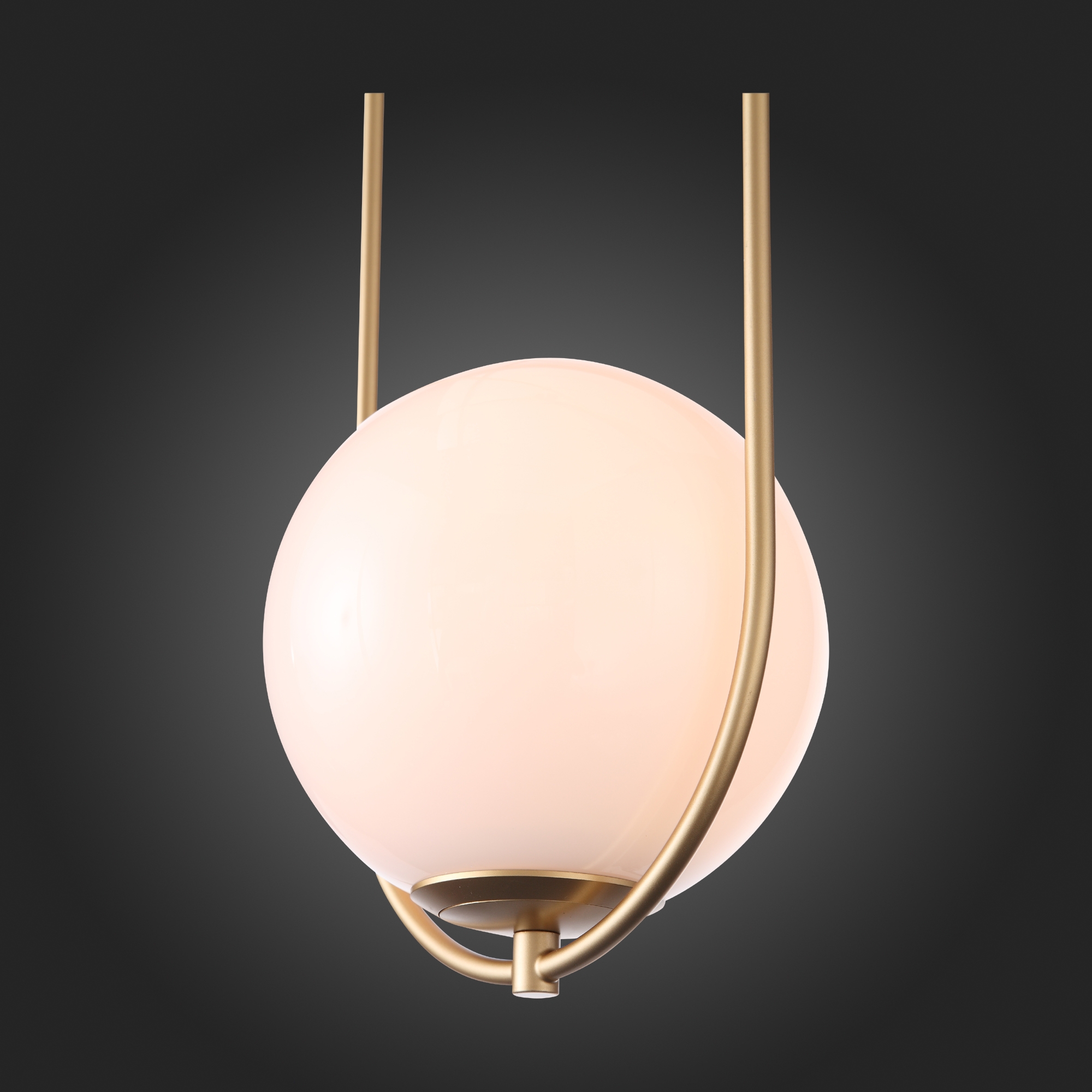 Подвесной светильник ST-Luce SL1118.203.01 в Москве