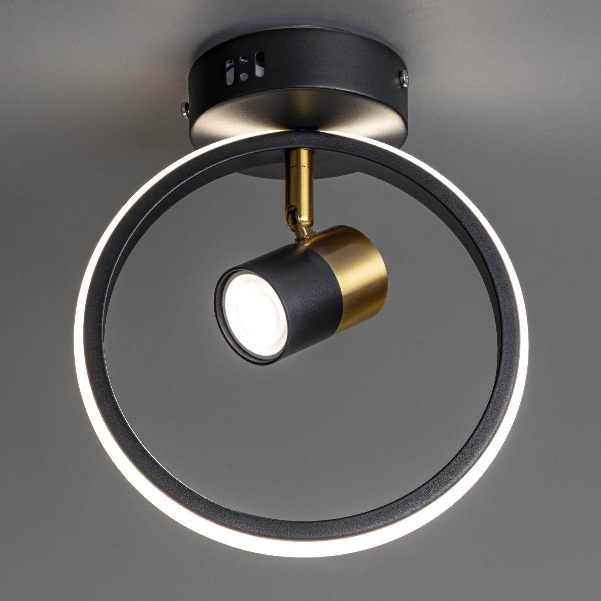 Потолочный светильник Ritter Lanterna 51597 9