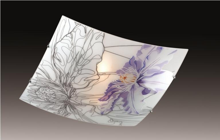 Потолочный светильник Sonex Iris 2230