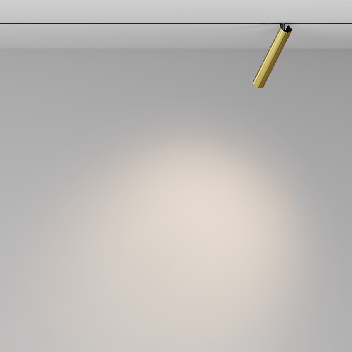 Трековый магнитный светильник Maytoni Focus T TR141-2-6W3K-M-BS