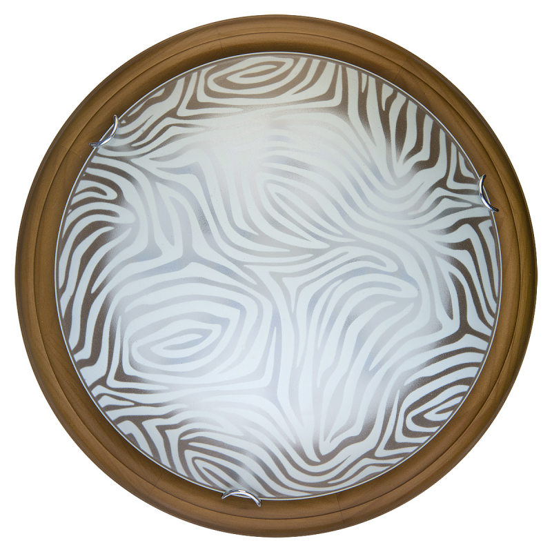 Настенно-потолочный светодиодный светильник Toplight Agatha TL9260Y-00OA