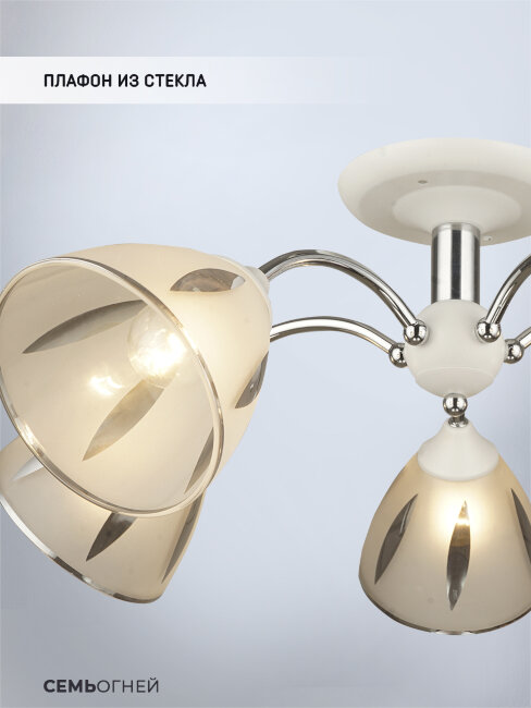Потолочная люстра Wedo Light Ayna WD3521/5C-WT-CR-WT