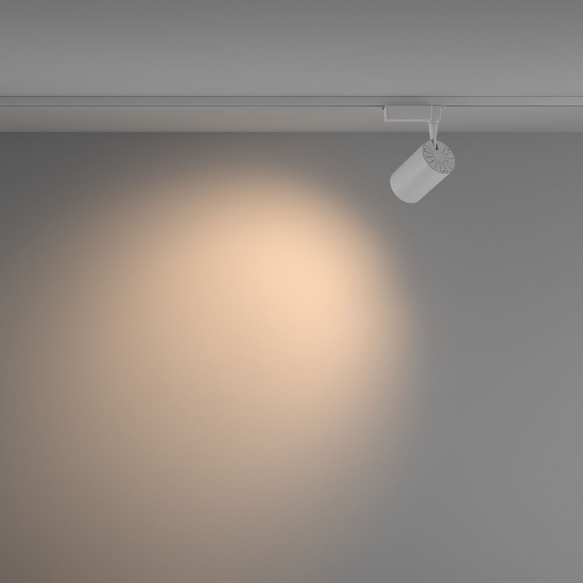Трековый светильник Maytoni Technical Vuoro TR003-1-15W3K-W-W