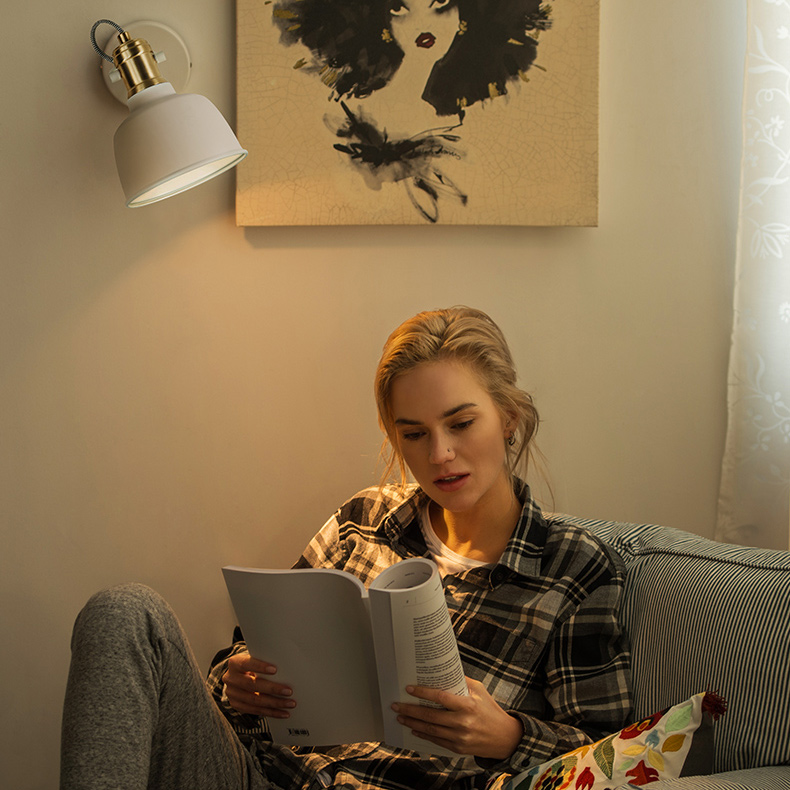 Спот ImperiumLoft Vinland 243424-26