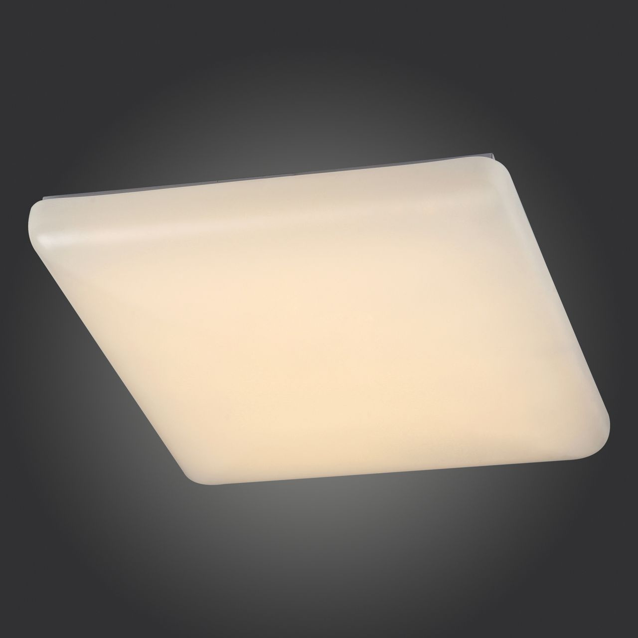 Потолочный светодиодный светильник ST Luce SL876.332.01